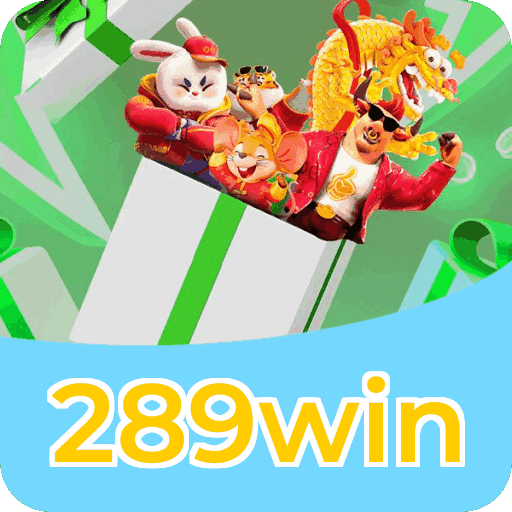 Segurança App 289win